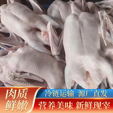 ���r�F�������Z���D䁾Ƶ깩���V�|���Zʳ������\ݔ���r�����Z