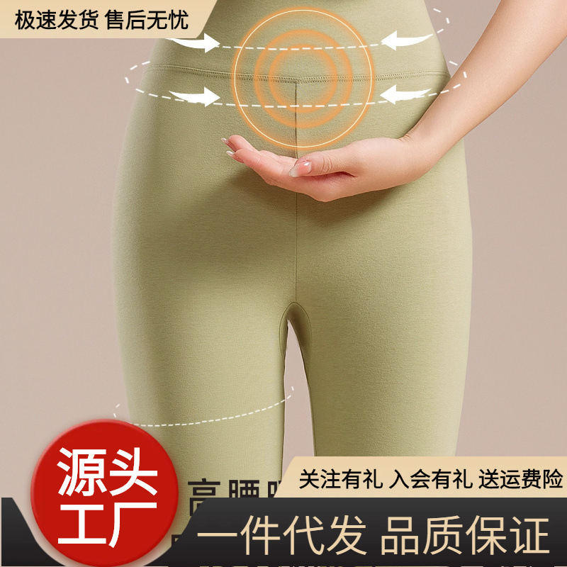 高腰纯棉秋裤女士保暖裤修身纯色薄款大码线裤衬裤打底裤毛裤冬季