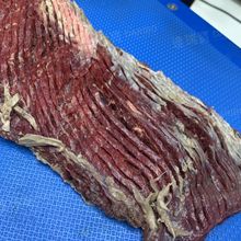 W不锈钢切腰花机墨鱼切花 肉片切网纹花机切腰花机厂家切花刀设备