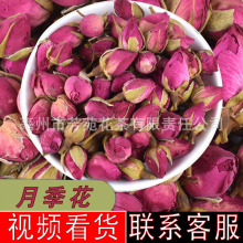 山东月季花茶小月季花茶大月季  月季花茶芳苑厂家直销月季花批发