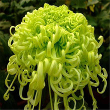 ջNӾջ ̨ͥԺԻܻ ׷NֲﻨļN