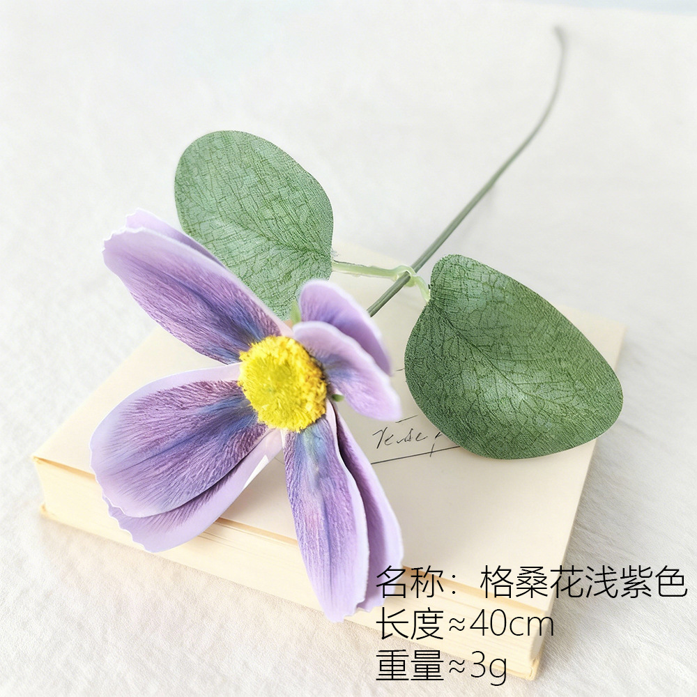 Flor de Gesang púrpura claro