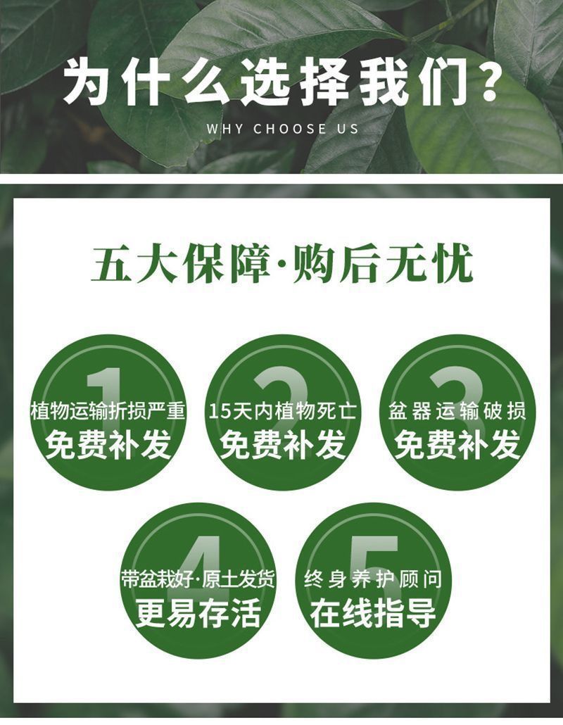 078e3bd3-e911-46b6-b850-f97e297e89dc.jpe