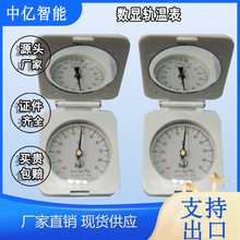 数显轨温表  指针式铁路轨温计  矿用轨道指针式温度测量仪