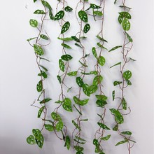 �����ָоG�~�ٗl�G�}�����~�������p�@�ڒ������ֲ����b�