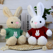 新款穿衣兔子毛绒玩具可爱布娃娃新年吉祥物生肖兔子女生儿童礼物