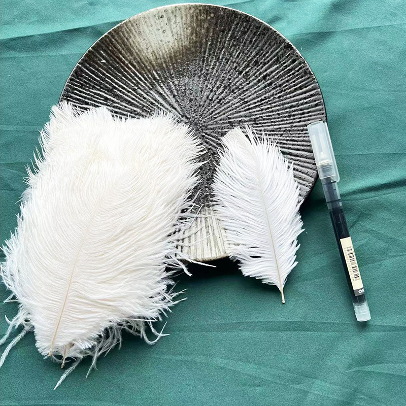 흰색 10-15cm 타조 깃털(단일)