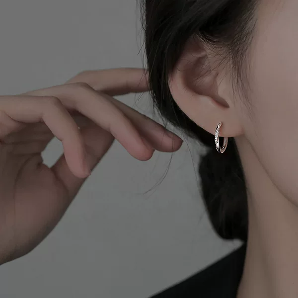 plain hoop earrings 2023 new explosions cold wind niche high-end female earrings light luxury earrings gift wholesale
