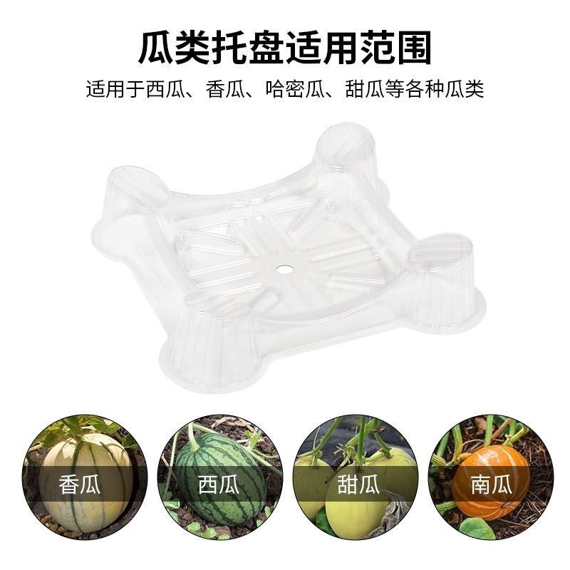 微信图片_20250526162009