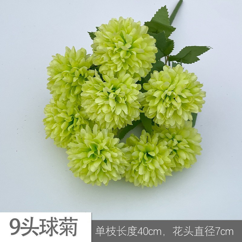 9 header chrysanthemum yul green