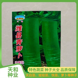 蔬菜种子