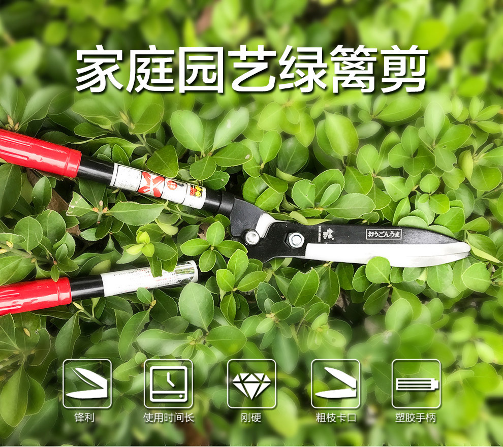 凯姿KAZZ 园艺长柄绿篱剪 55cm剪枝剪 绿篱修枝剪花草坪果树剪刀