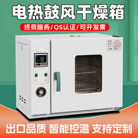 电热鼓风干燥箱高温加热烘干箱高精度工业烤箱实验室烘箱