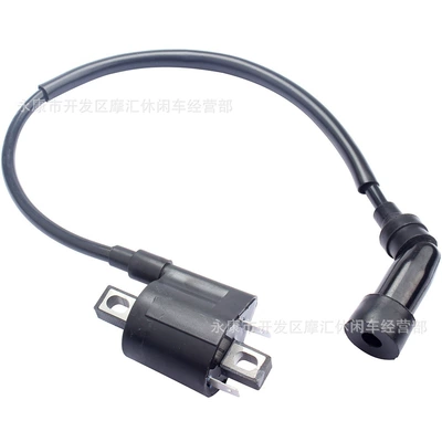 Alovlanma bobini (Babinalar) Bj125-3E Bj125-3 125Cc Tnt