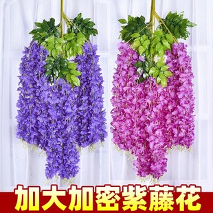 �������ٻ��ٻ����_�m��픻����҃Ȼ�c�b��ٗl���ϻ��l����ֲ��