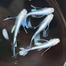 �^�����F��ʹ֮�����w�L���a����ˮ�~���wС���^�p�~��ȸ���R�~