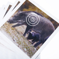 Bow and arrow archery equipment, target paper, dart target paper, practice target paper, support manufacturers for wholesale delivery of animal target paper