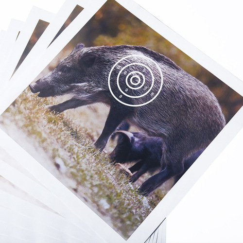 Bow and arrow archery equipment, target paper, dart target paper, practice target paper, support manufacturers for wholesale delivery of animal target paper