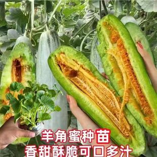 �����������糬����Ǵ��ֱ�Ƥ������r���׷N�����߲˹Ϲ��N��
