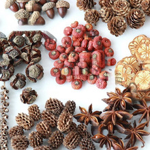 diyɹľƬ~ɻɹM}Qb׃@b[͹ŵ