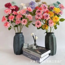 6�^��ᘾվ��� ���滨��c�û��ٻ�С�r�ջ��Ž�����Y���b����l