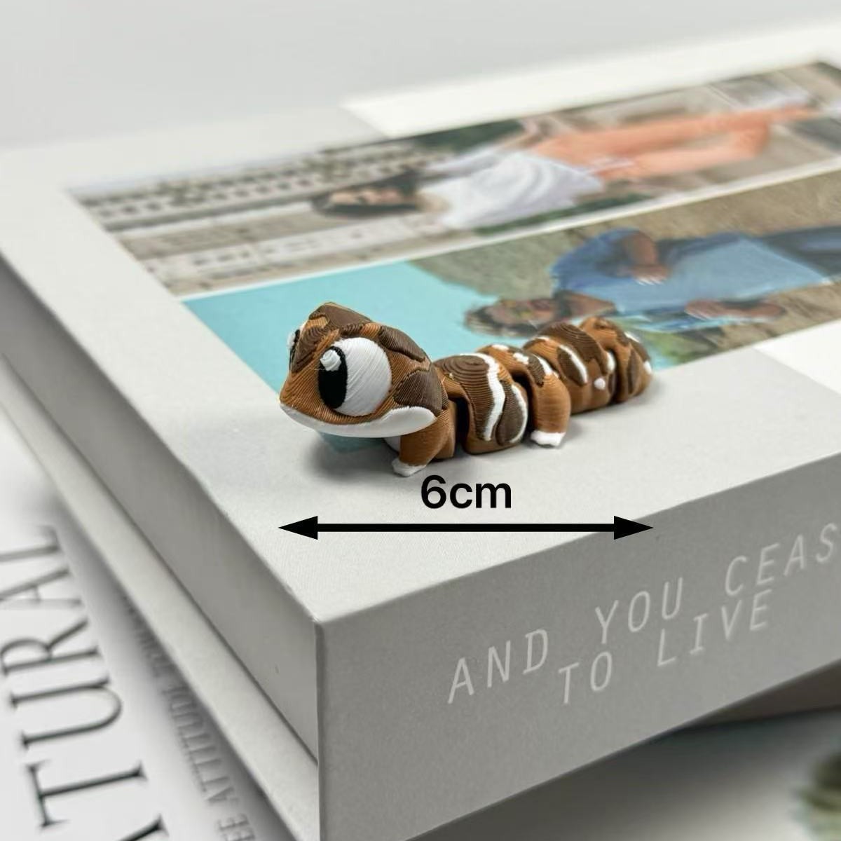 게코 6cm