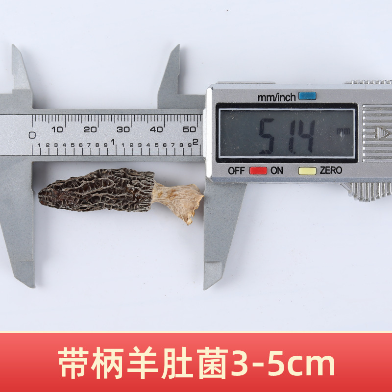 첫 번째 그루터기 3-5 풀컷 손잡이(손잡이 길이 1cm 이내) 모렐 500g