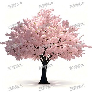 Faux Large Cherry Blossom Tree �����쾰�ѻ������
