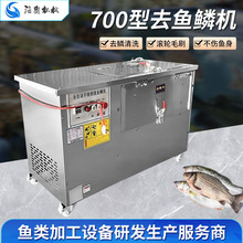 全自动不锈钢脱鱼鳞机 700型去鳞清洗一体机 山东电动去鱼鳞机