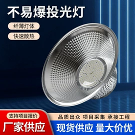 应急指示灯具;防爆灯;商用吊线灯