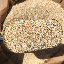 �����S���M�ڰ�޼�� �w��������M�Ƀ���ϴ�o�s�|ԭ�b���b޼��