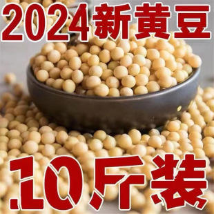 24�����S��5��10��|���S���r���ԷN��ȶ��{��ѿ���D�����