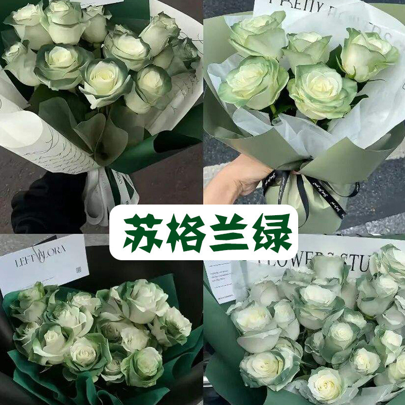 云南基地自产自销玫瑰花鲜花卡布奇诺搭配好20枝一束水养鲜切花