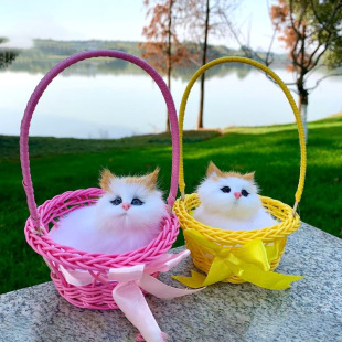 ��ɫ����С������@؈��͏d�[�����նY�����ģ�͹�ˇƷ������l