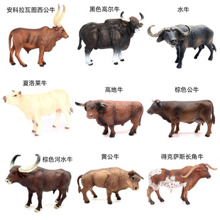 �羳����ţģ��ˮţ�ߵ�ţ�ߠ�ţ��ţ�����Rţ�������ţģ�͔[��