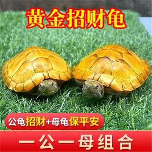 �S����ؔ������һ����H����С����������^�p�L���լ���w����