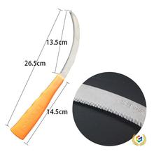 ?���P�砵�ľ����X�r����ѿ砵������յ������r��С砵�