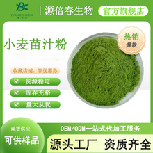 小麦苗粉 小麦苗汁粉 全水溶 喷雾干燥 固体饮料专用 现货供应