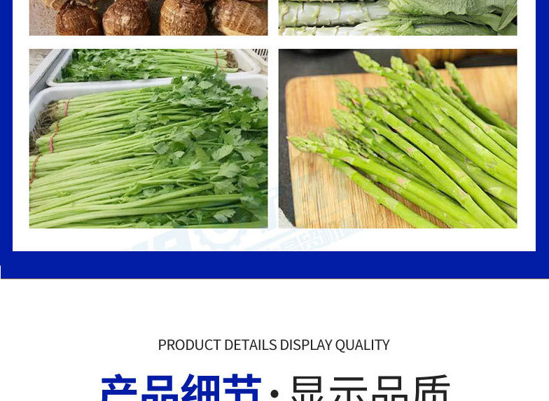 凈菜流水線1_07.jpg