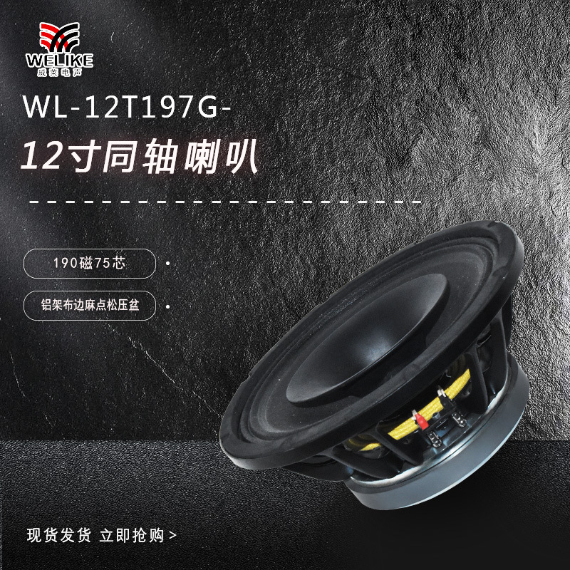 12 inch neodymium magnetic 75 core treble professional outdoor performance monitor/listen back coaxial horn unit