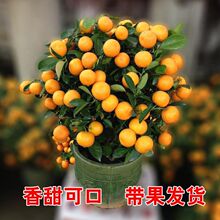 ��������������ۘ����ļ��Y�����Ե����̨ͥԺ���ϱ����Nֲ�Gֲ