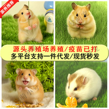 ���l�}������w���ܻ��y�ܰ��ܺ��ܽ�z���Lë����Ȧ�ܲ������l