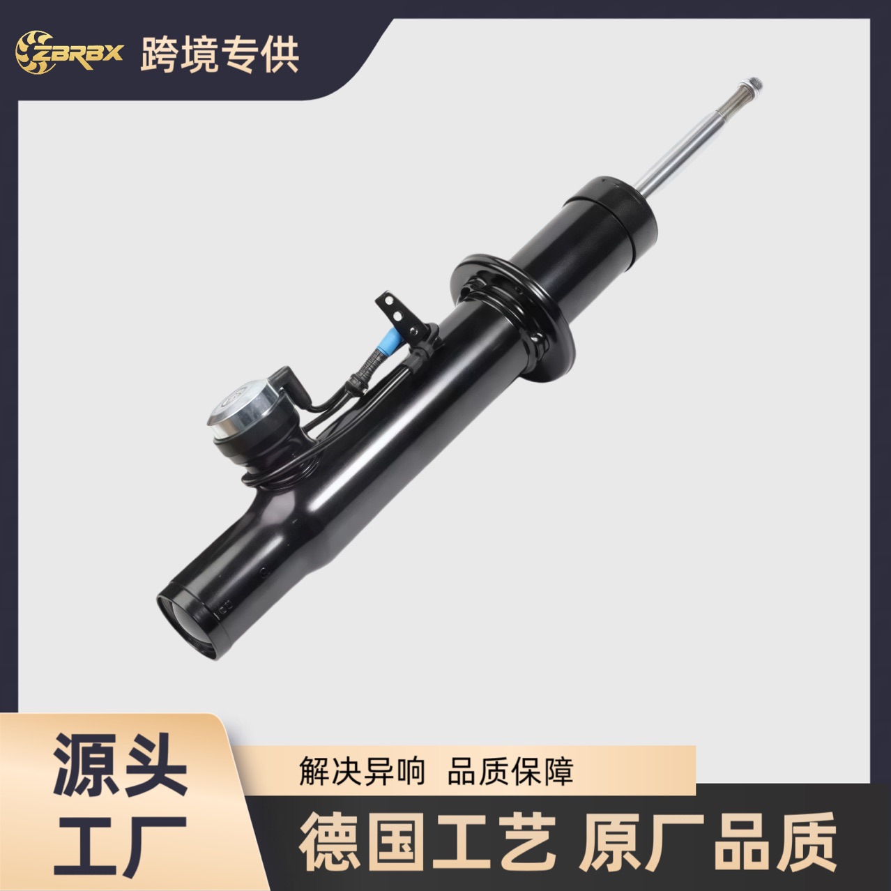 Factory Direct Supply Front Shock Absorber for Bmw X5X637106875083 37106875084