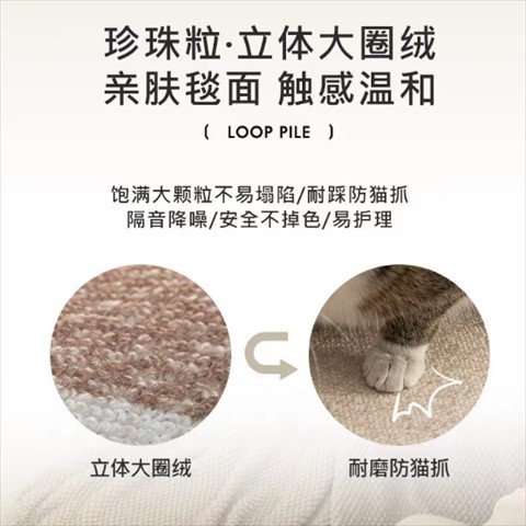 Simple and High-End Three-Proof Loop Pile Carpet for Living Room, Sports-Resistant, Dirt-Resistant, Easy to Maintain, Bicycle Floor Mat, Home Leisure Area, Wear-Resistant Foot Mat