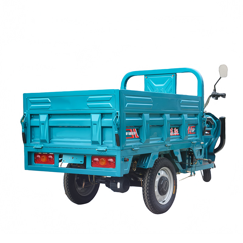 Triciclo eléctrico para transporte de carga, vehículo eléctrico agrícola, triciclo eléctrico para adultos, vehículo eléctrico de alta resistencia para subir pendientes, triciclo con sidecar.