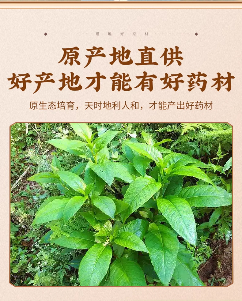 Xian Ling Pi Epimedium Root 500g Dried Yin Yang Huo Herb for Tonic Wine and Decoction key features