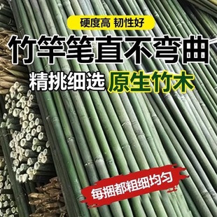 Bamboo Pole Vegetable Garden Support Pole for Beans, Cucumbers, Tomatoes, and Peppers, Super Hard Plant Climbing Trellis Flagpole