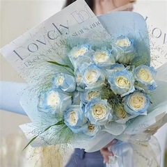 廠家批發大容量鮮花染色劑水性花藝着色噴漆炫彩彩噴珠光彩色噴霧