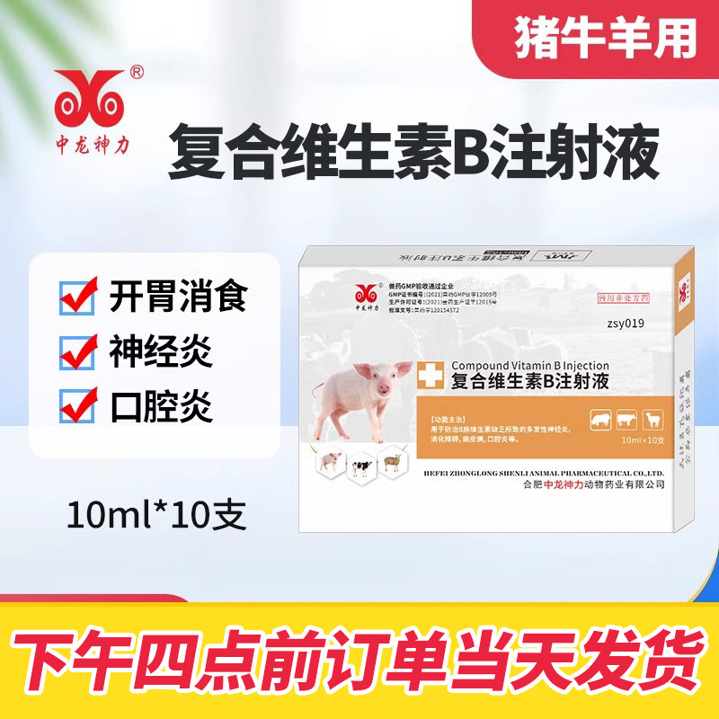 中龙神力兽药针剂复合维生素B注射液猪马牛羊兔猫狗宠物消食