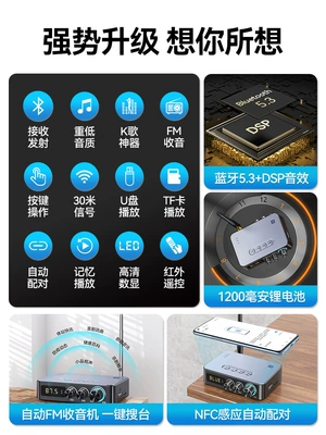 5.3 Speaker Amplifier Karaoke: FM Modulyator